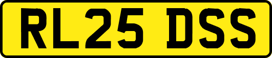 RL25DSS