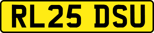 RL25DSU