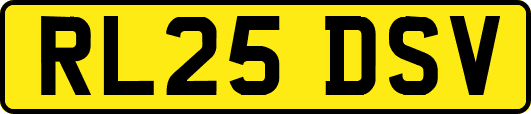 RL25DSV