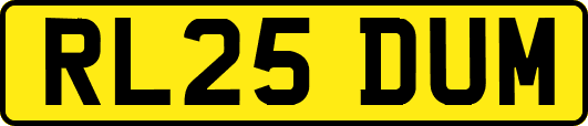 RL25DUM