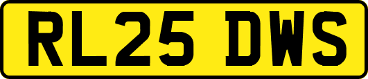 RL25DWS