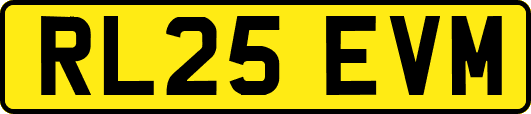 RL25EVM