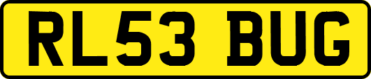 RL53BUG