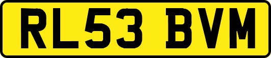 RL53BVM