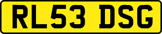 RL53DSG