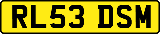 RL53DSM