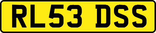 RL53DSS