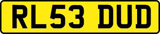 RL53DUD