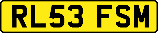 RL53FSM