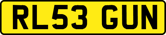 RL53GUN