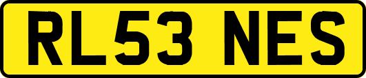 RL53NES