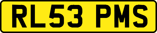 RL53PMS