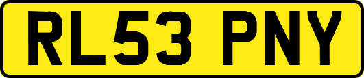 RL53PNY