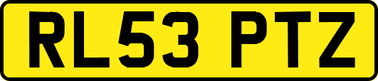 RL53PTZ