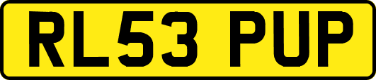 RL53PUP