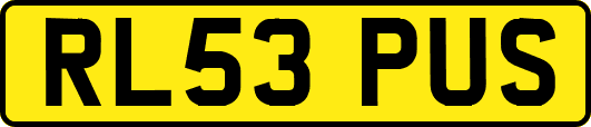 RL53PUS