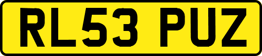 RL53PUZ