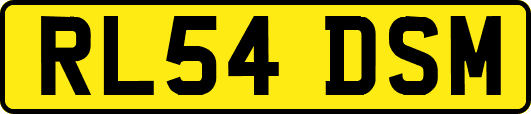RL54DSM