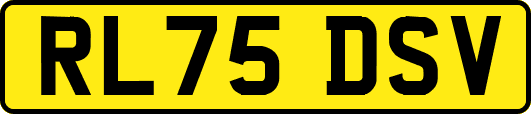 RL75DSV
