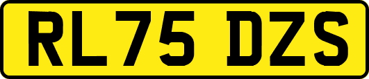 RL75DZS