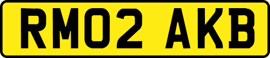 RM02AKB