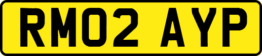 RM02AYP
