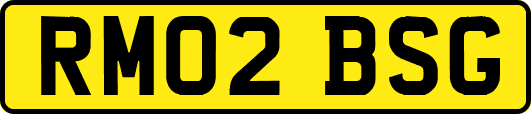 RM02BSG