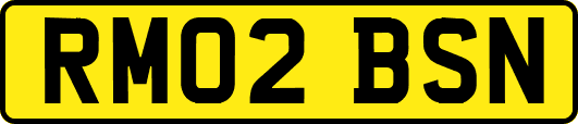 RM02BSN