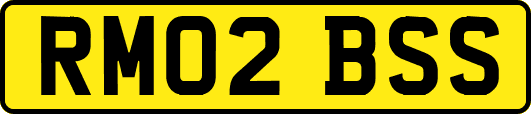 RM02BSS