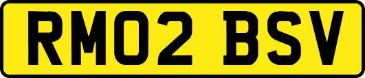 RM02BSV