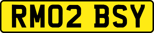 RM02BSY