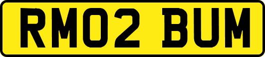 RM02BUM