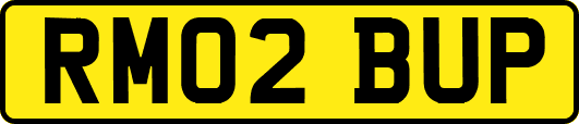 RM02BUP