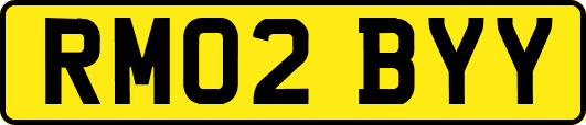 RM02BYY