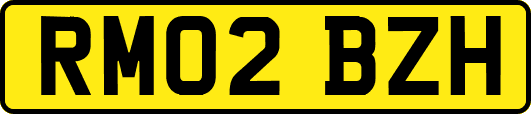 RM02BZH