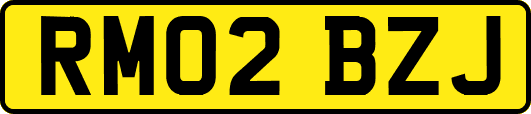 RM02BZJ