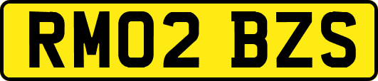 RM02BZS