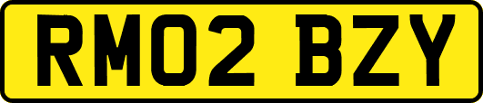 RM02BZY