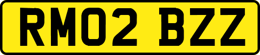 RM02BZZ