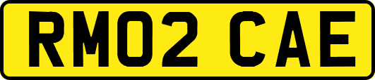 RM02CAE