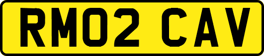 RM02CAV