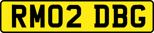 RM02DBG