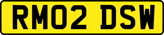RM02DSW