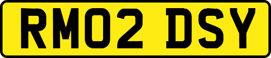 RM02DSY