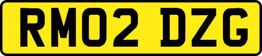 RM02DZG