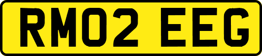RM02EEG