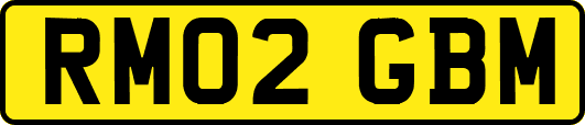 RM02GBM