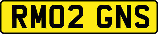 RM02GNS