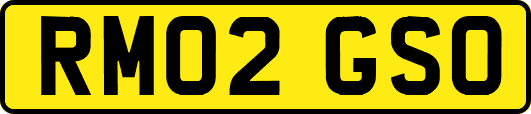 RM02GSO