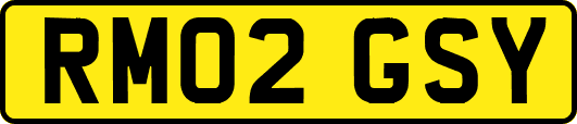 RM02GSY